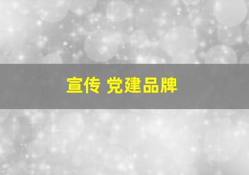 宣传 党建品牌